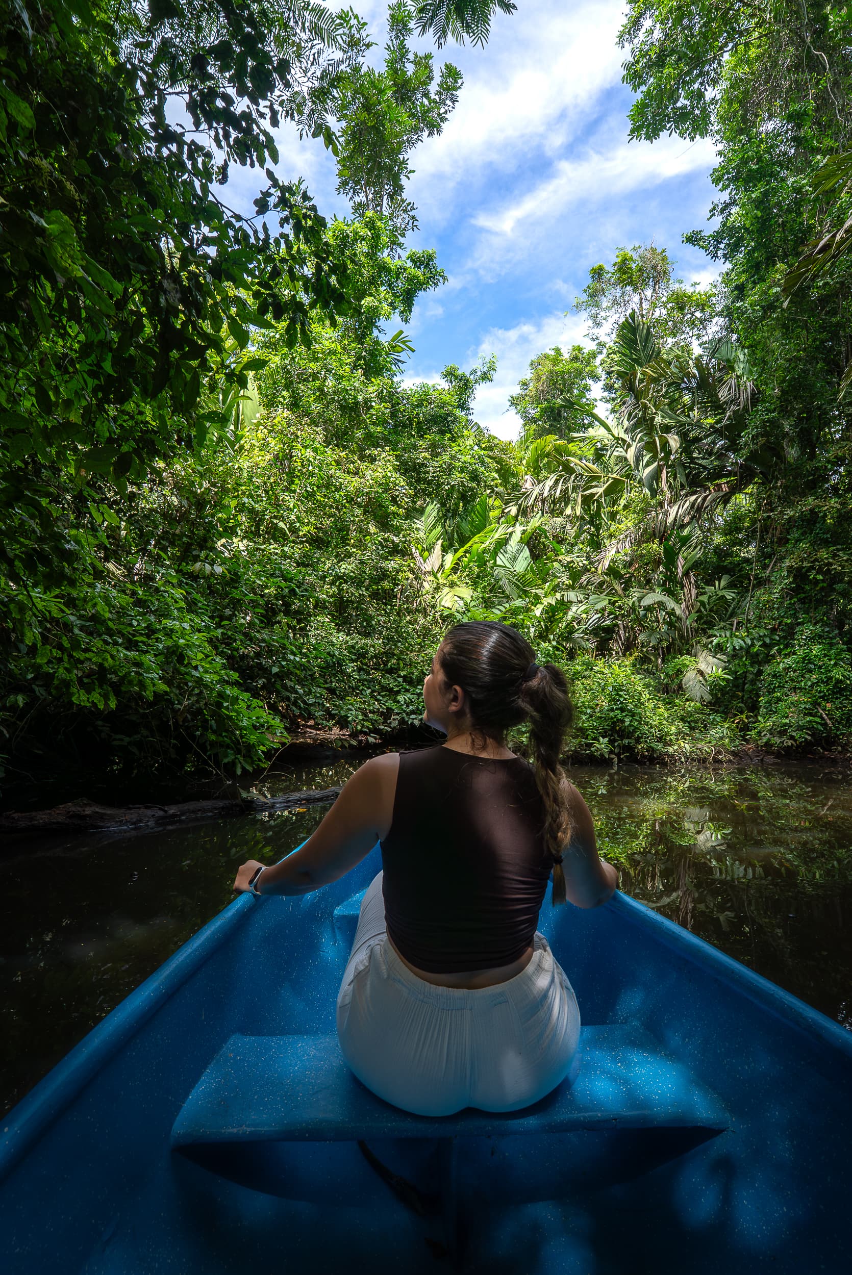 Guía Completa para Visitar Tortuguero, Costa Rica